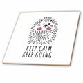 3dRose Cute and funny hedgehog winks, smiles. Keep calm. Keep going text - Tiles (ct_351424)
