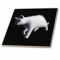 3dRose Boehm Graphics Cat - A White cat Stepping Down to its Right - Tiles (ct-370697)