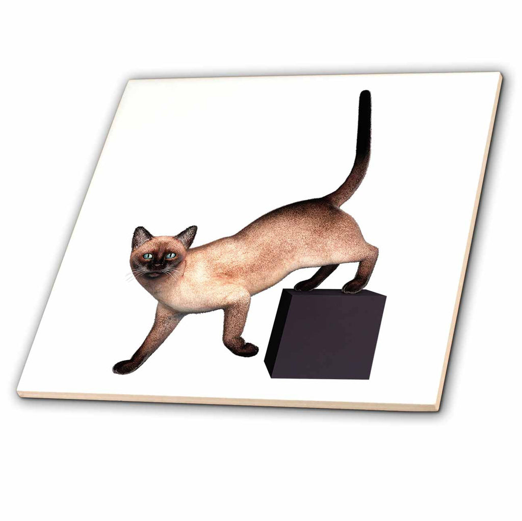 3dRose Boehm Graphics Cat - A Siamese cat Stepping Down to its Right from a Cube - Tiles (ct-370702)