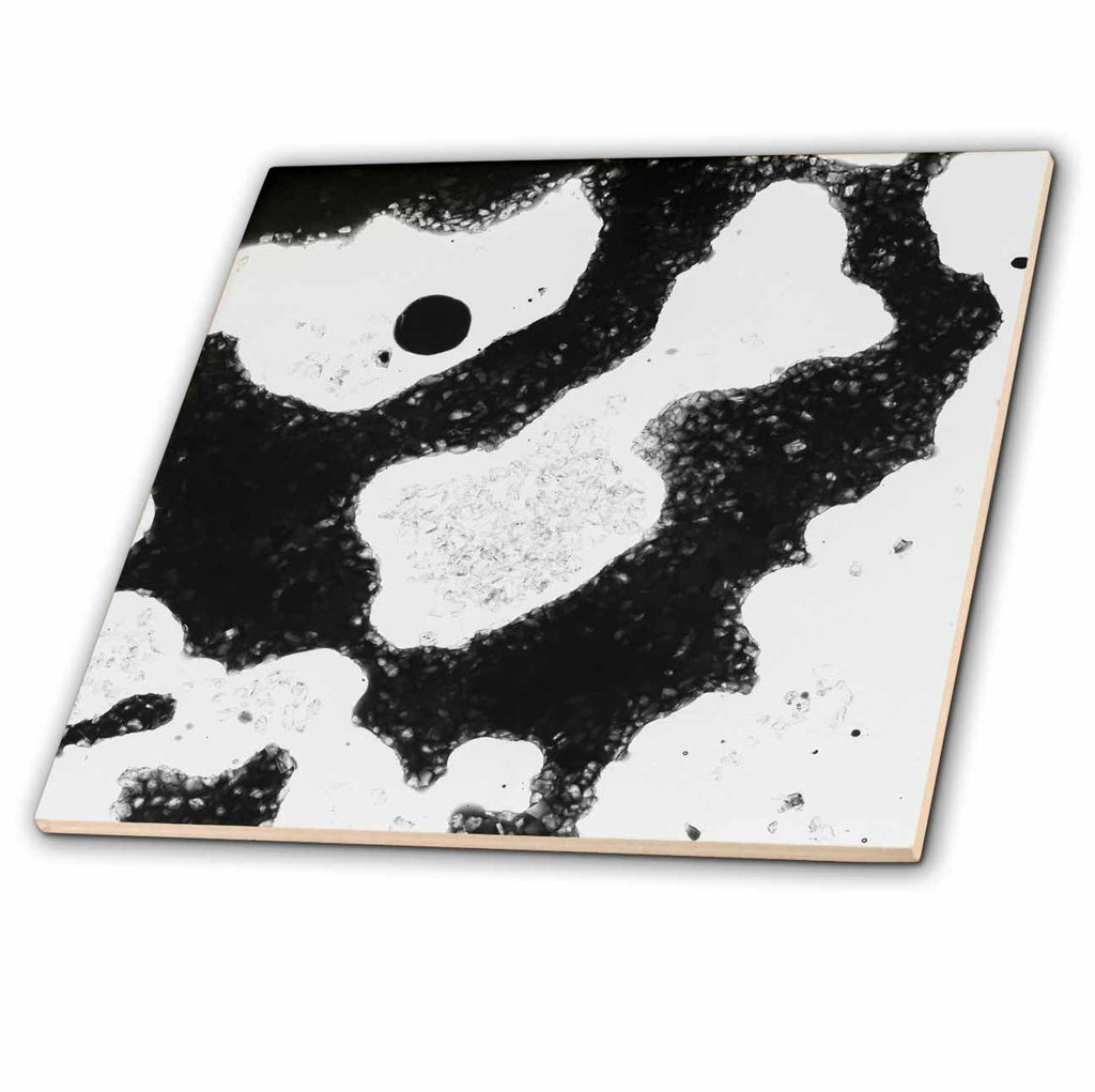 3dRose DanitaDelimont - Backgrounds - Color Abstract Design - Tiles (ct-380399)