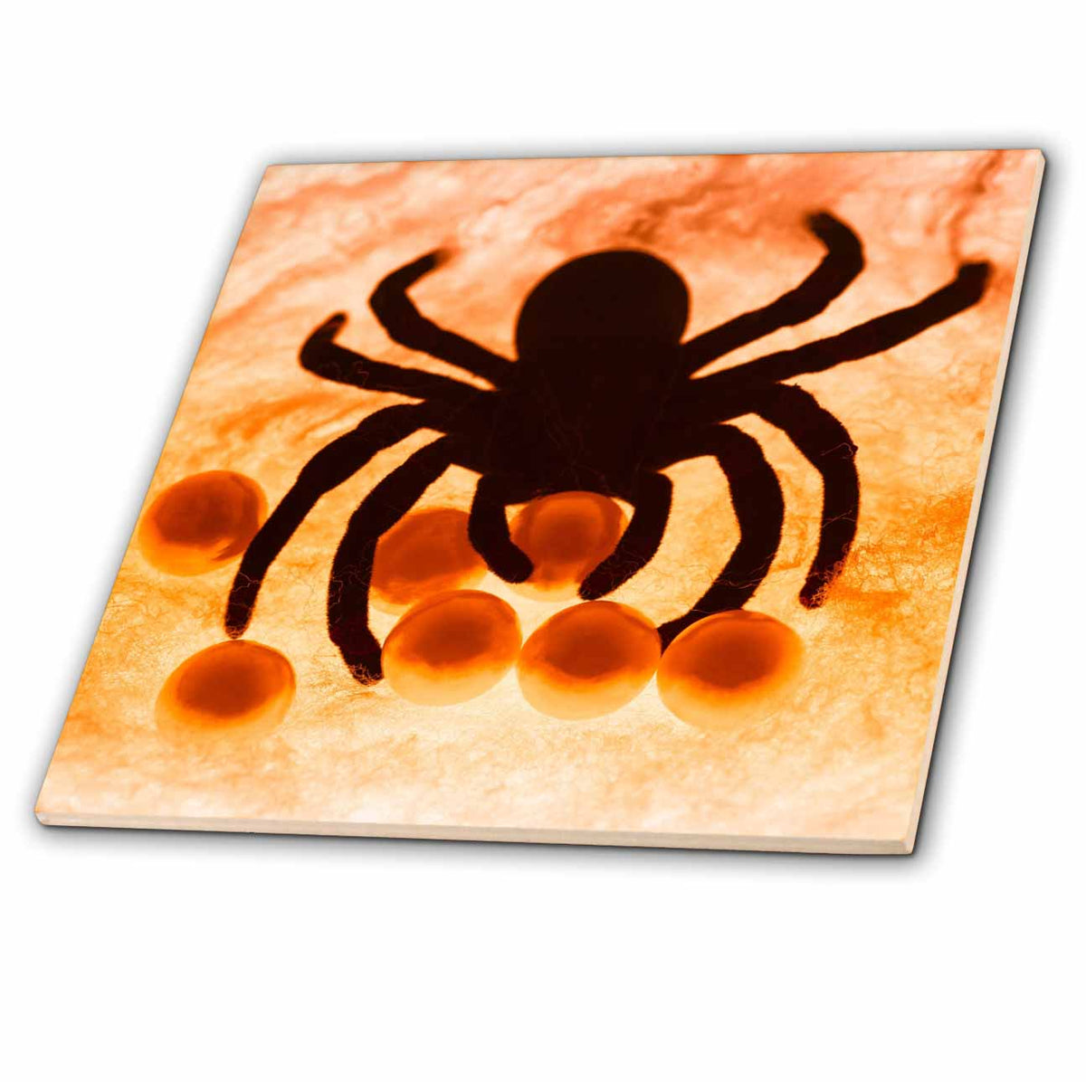 3dRose DanitaDelimont - Still Life - Spider on Orange Web with Eggs - Tiles (ct-380488)