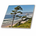 3dRose DanitaDelimont - Oregon - USA, Oregon. Cannon Beach with Haystack - Tiles (ct-381007)