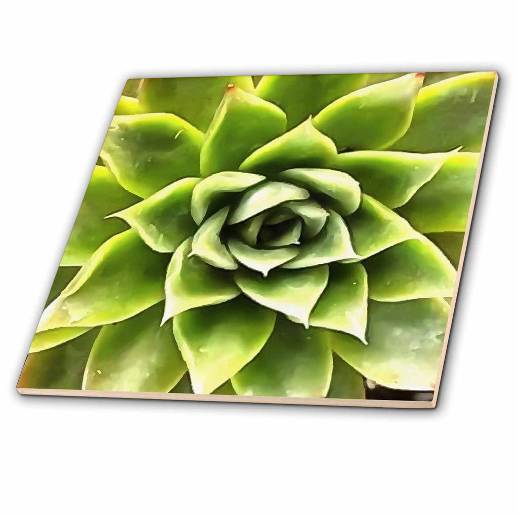 3dRose Green Succulent Close Up Cacti Art - Tiles (ct-381786)