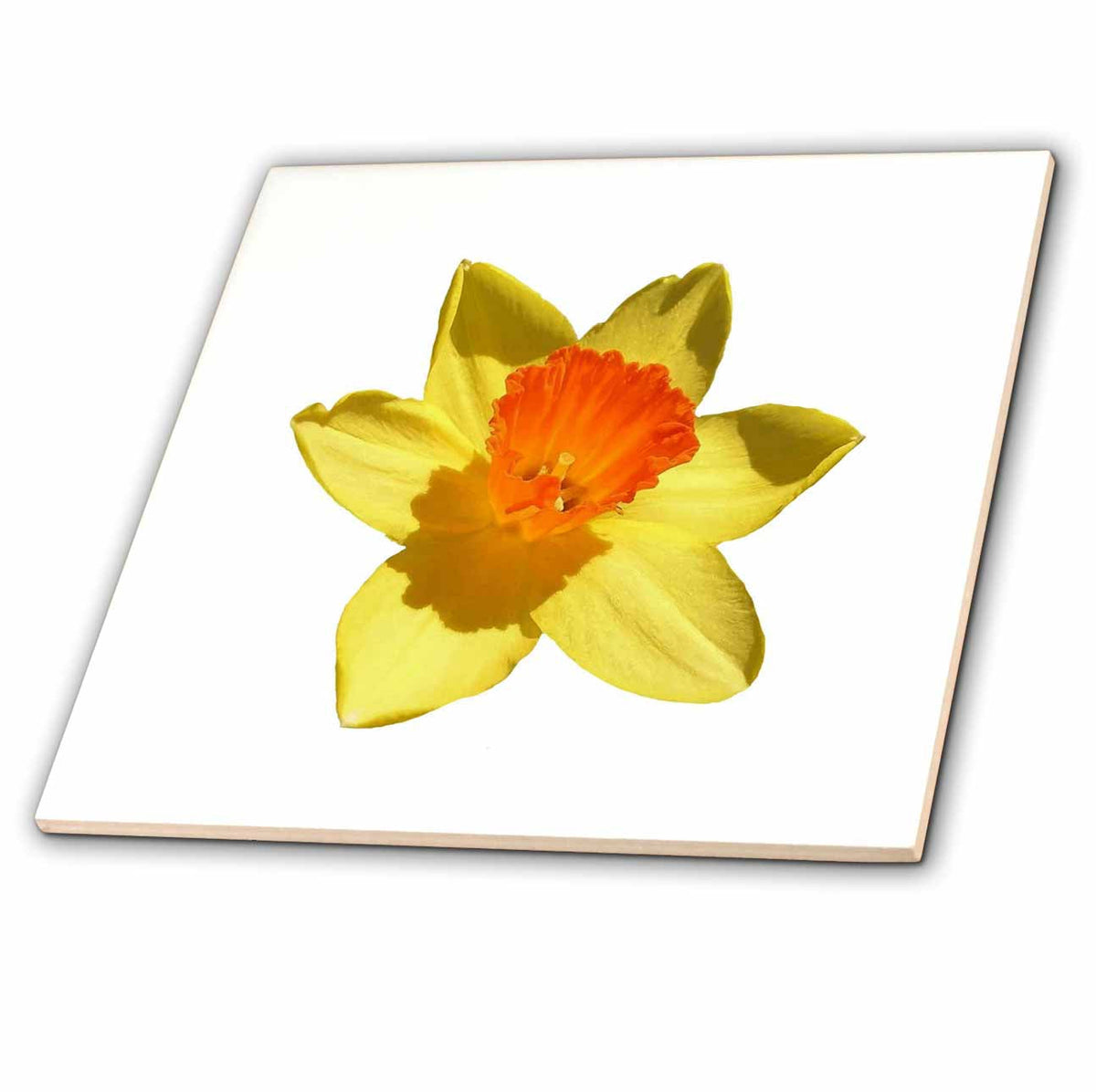 3dRose Large Bright and Colorful Spring Daffodil Vector Art - Tiles (ct-381833)