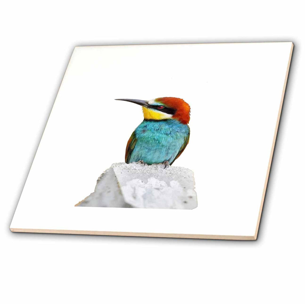 3dRose Brightly Colored European Bee Eater Vector - Tiles (ct-382565)