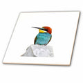 3dRose Brightly Colored European Bee Eater Vector - Tiles (ct-382565)