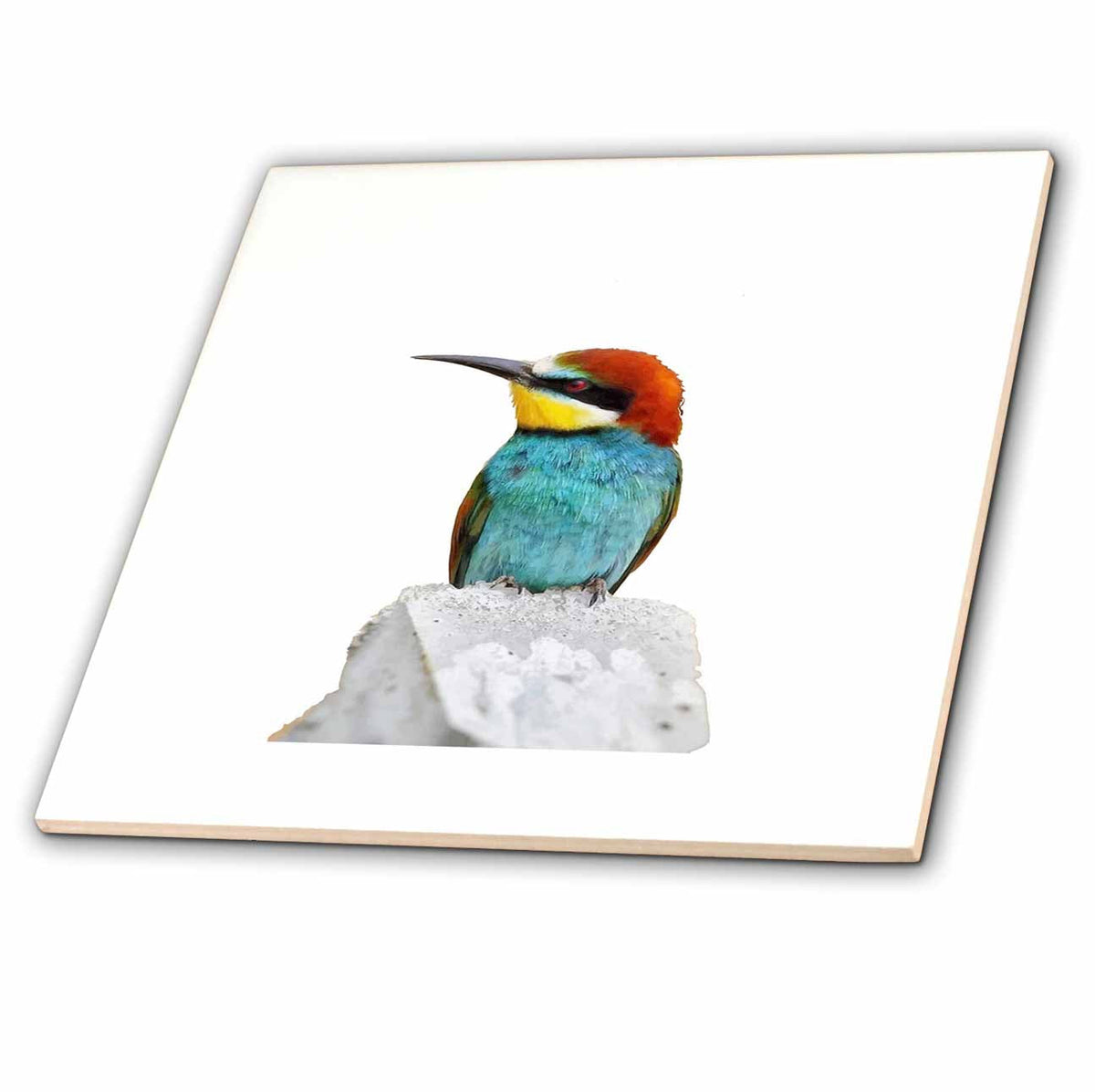 3dRose Brightly Colored European Bee Eater Vector - Tiles (ct-382565)