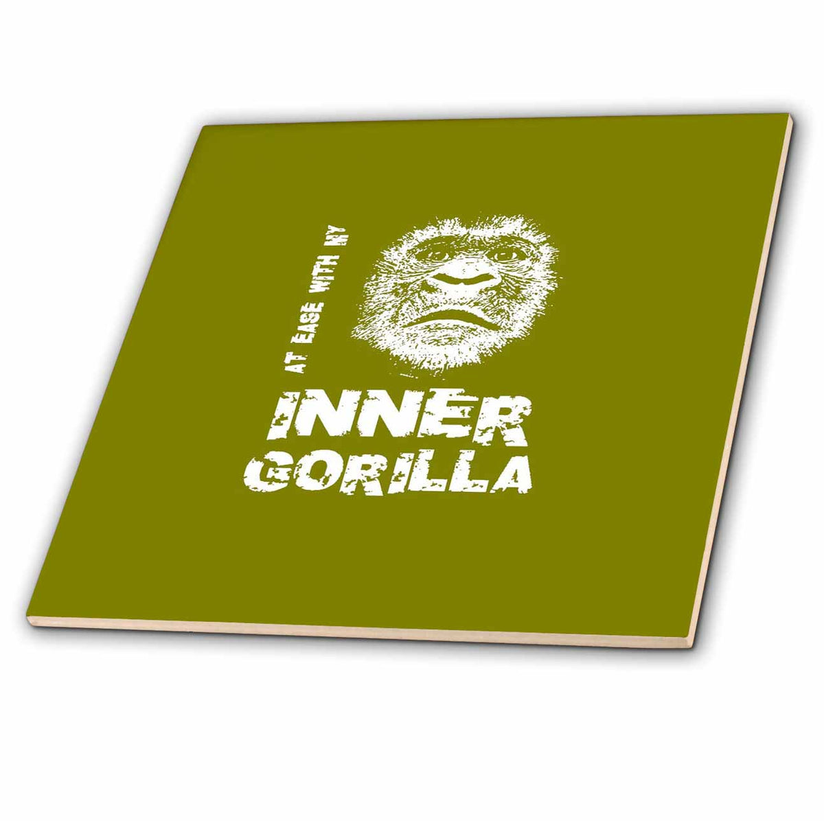 3dRose at Ease with My Inner Self Evolution Design - Tiles (ct-382599)