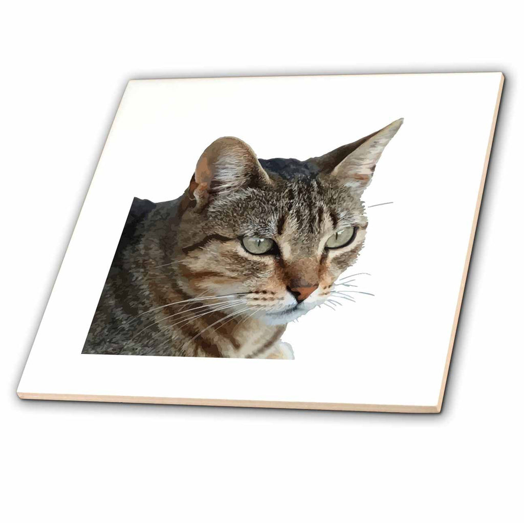 3dRose Stunning Tabby Cat Close Up Portrait Vector Isolated - Tiles (ct-383403)
