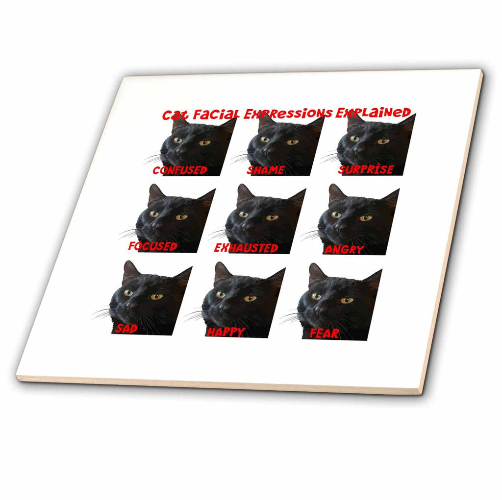 3dRose Cat Facial Expressions Explained Chart Cut Out - Tiles (ct-383411)