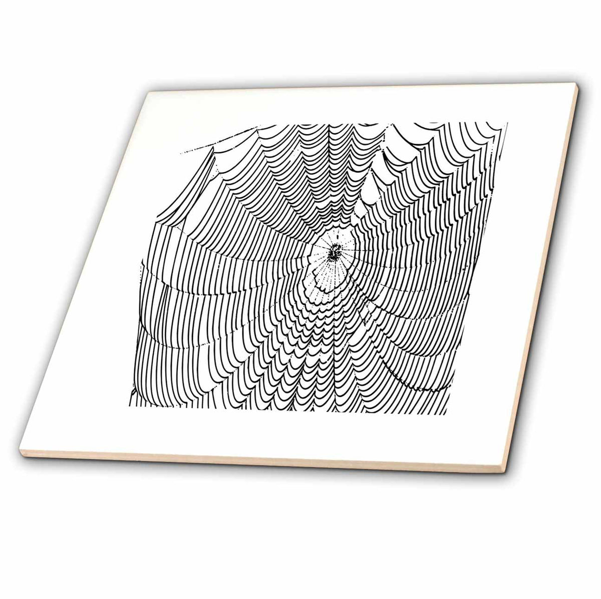 3dRose Artistic Halloween Spider Web Cobweb Doodle In Black - Tiles (ct-384899)