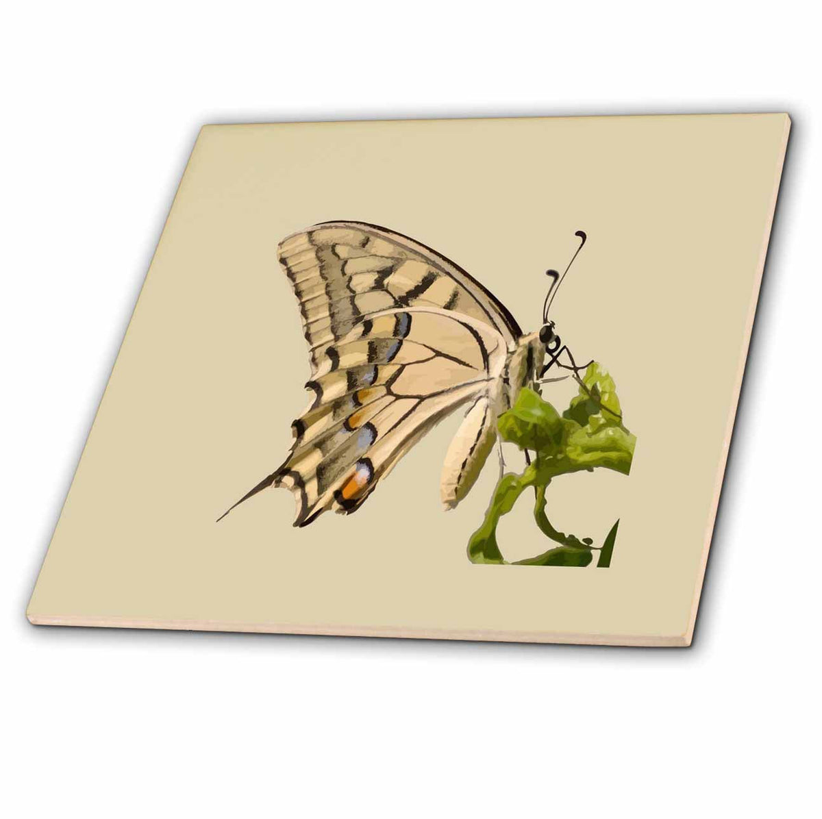 3dRose Taiche - Vector Art - Butterfly - Swallowtail Butterfly Vector Isolated - Tiles (ct-385206)