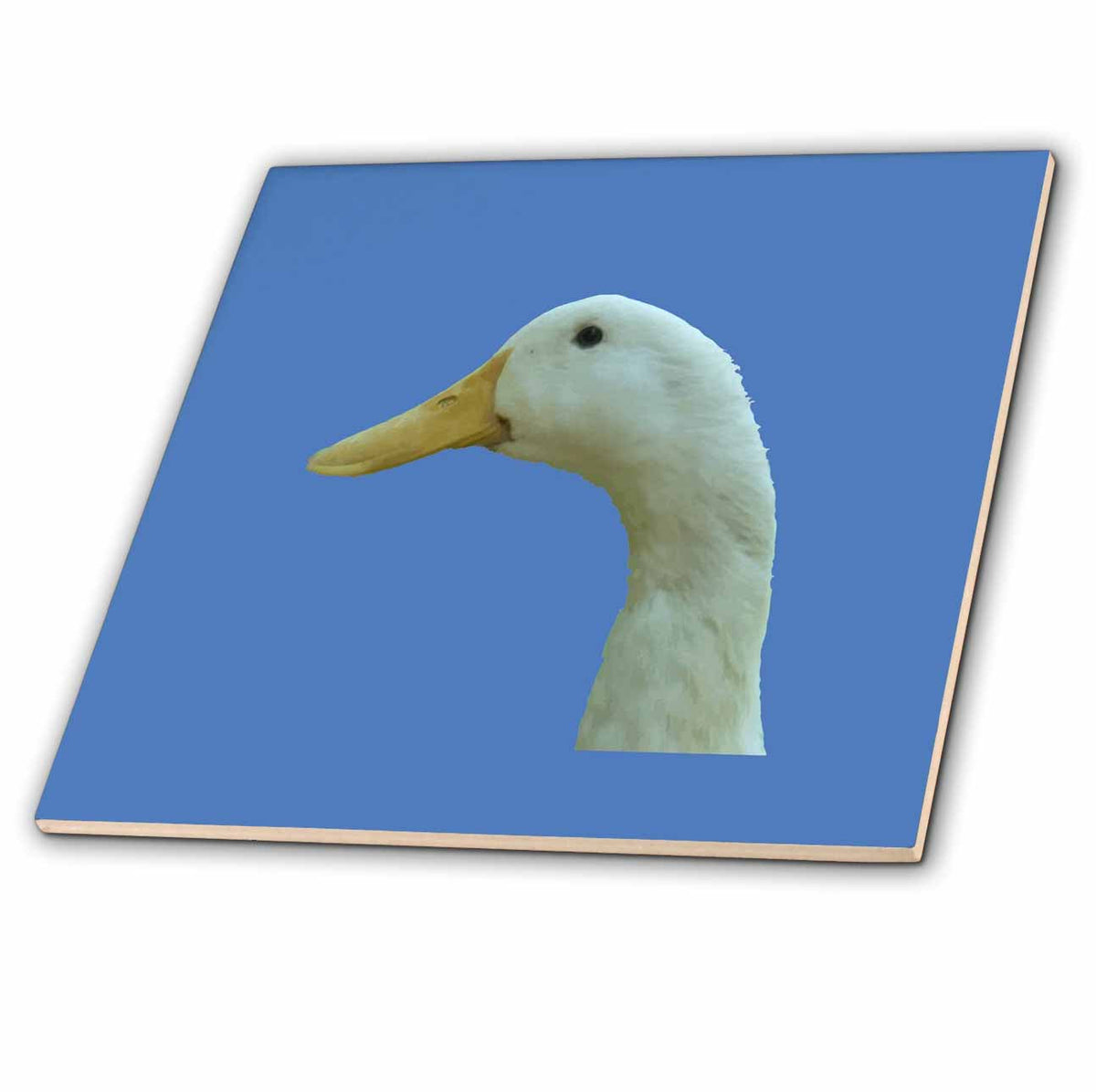 Disgruntled Duck Tile – Funny Decorative Accent for Kitchen or Backsplash