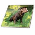 3dRose Dogs Labrador Retriever - Chocolate Labrador Retriever - Tiles