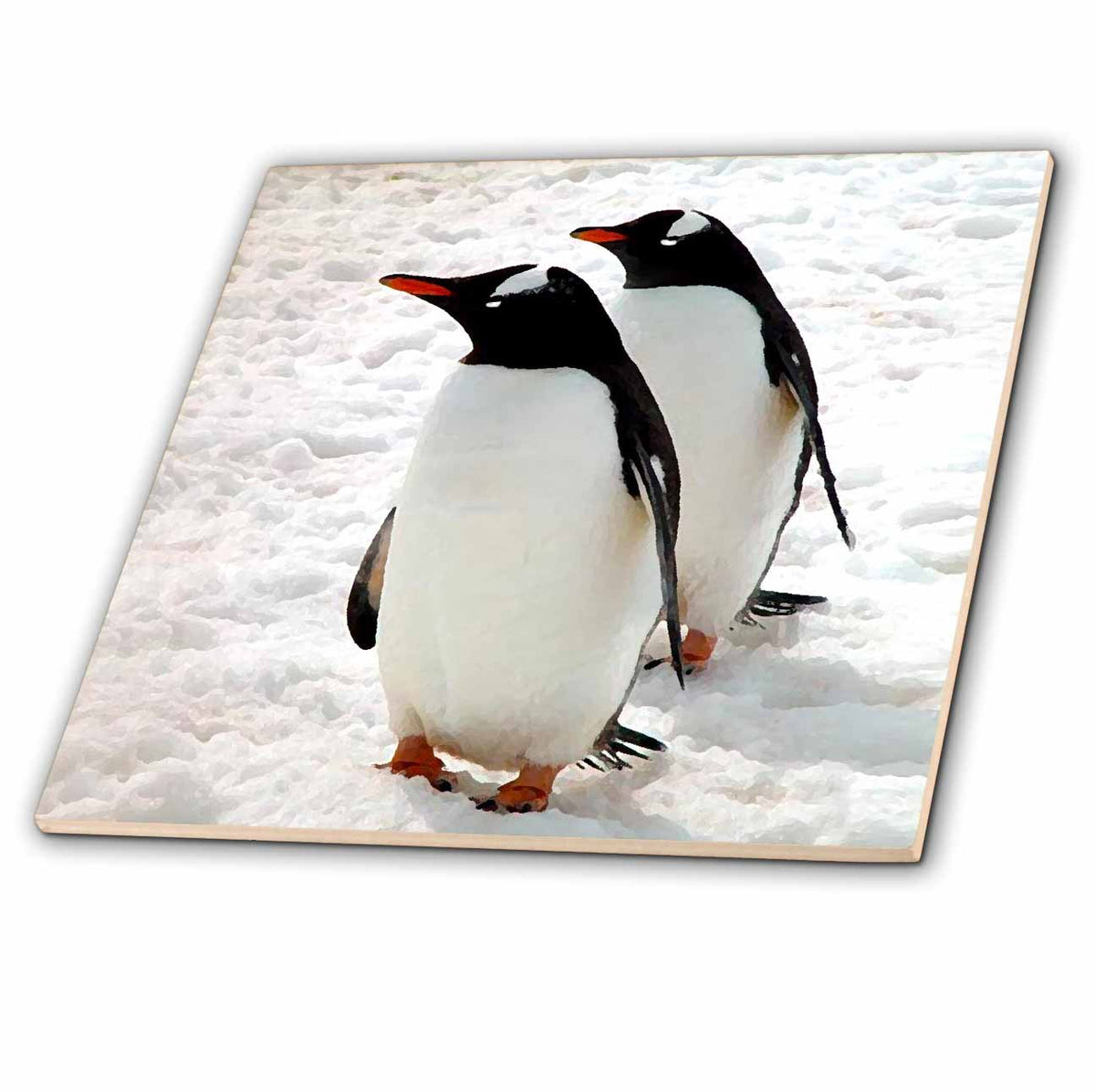 3dRose Birds - Penguins - Tiles (ct_4182)