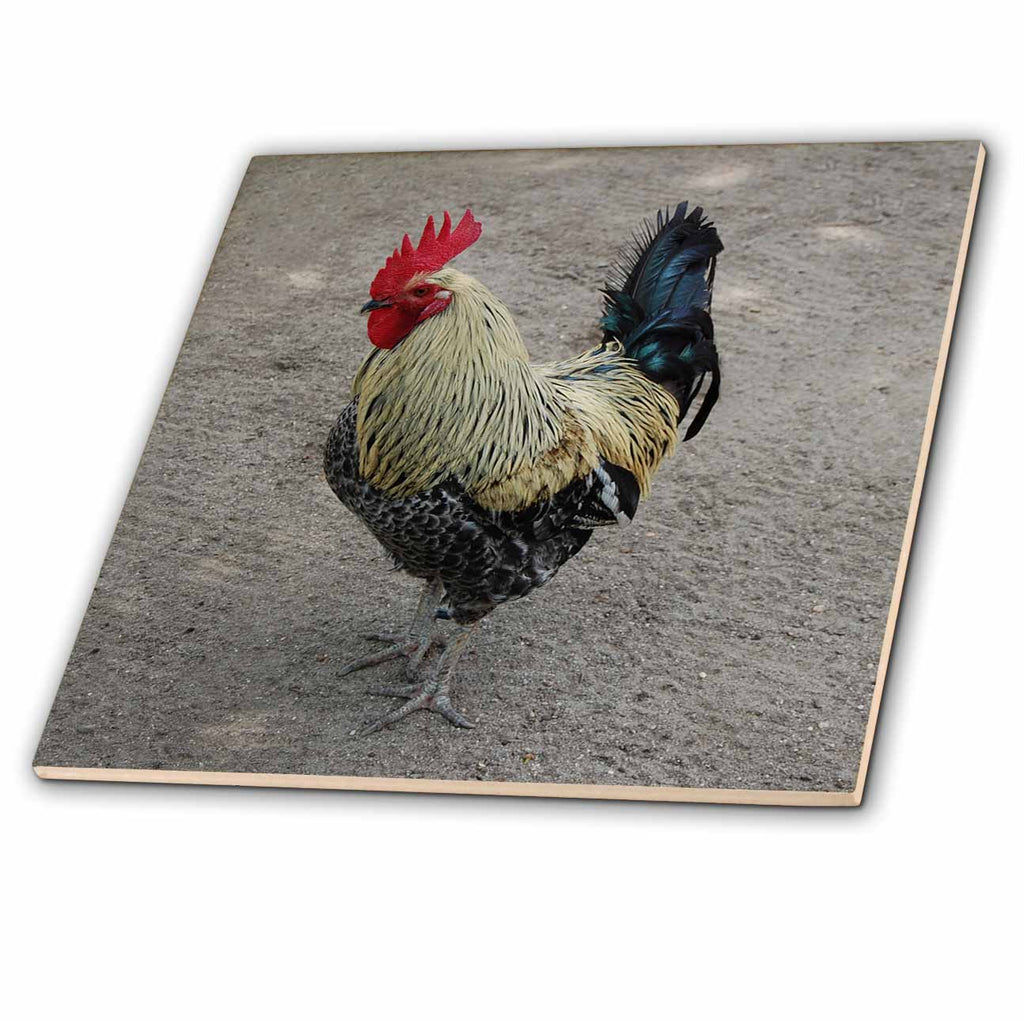 3dRose Farm Animals - Rooster - Tiles (ct_4328)