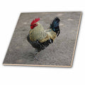 3dRose Farm Animals - Rooster - Tiles (ct_4328)