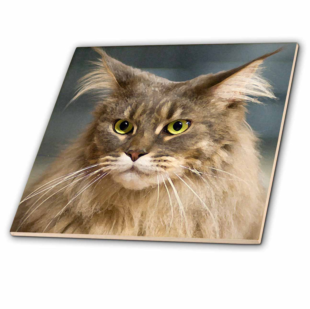 3dRose Cats - Maine Coon - Tiles (ct_4497)