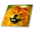 3dRose Dogs Chow Chow - Chow Chow - Tiles (ct_451)