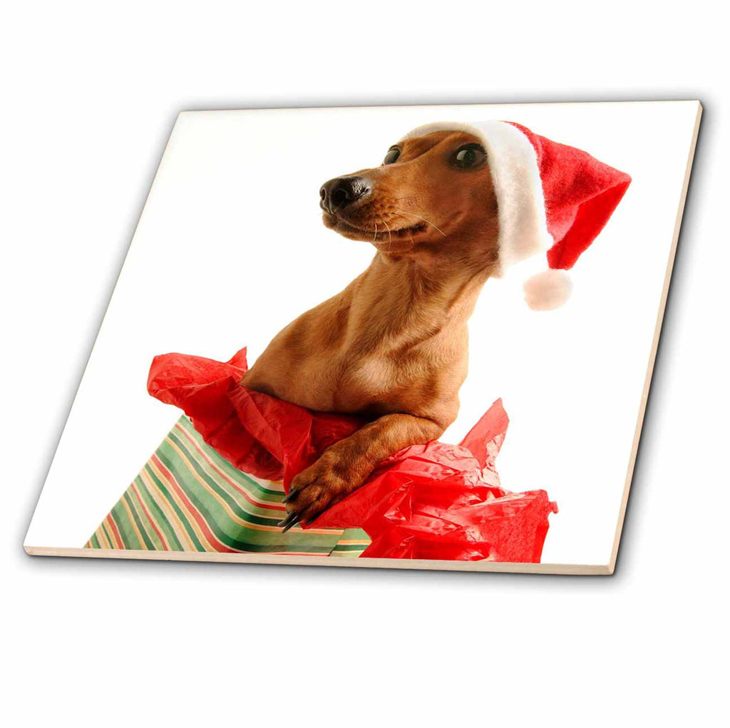 3dRose Holidays - Santa Dog - Tiles (ct_4575)