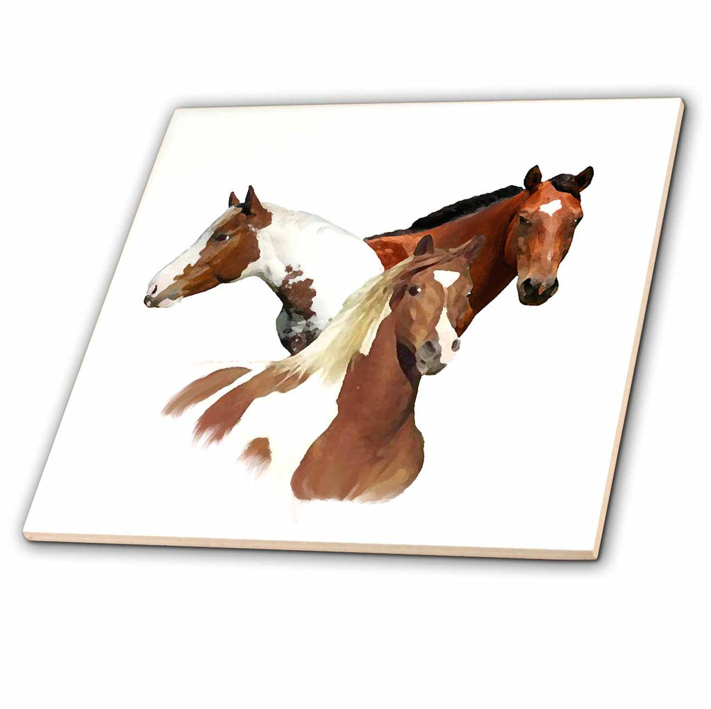 3dRose Horse - Horses - Tiles (ct_4584)
