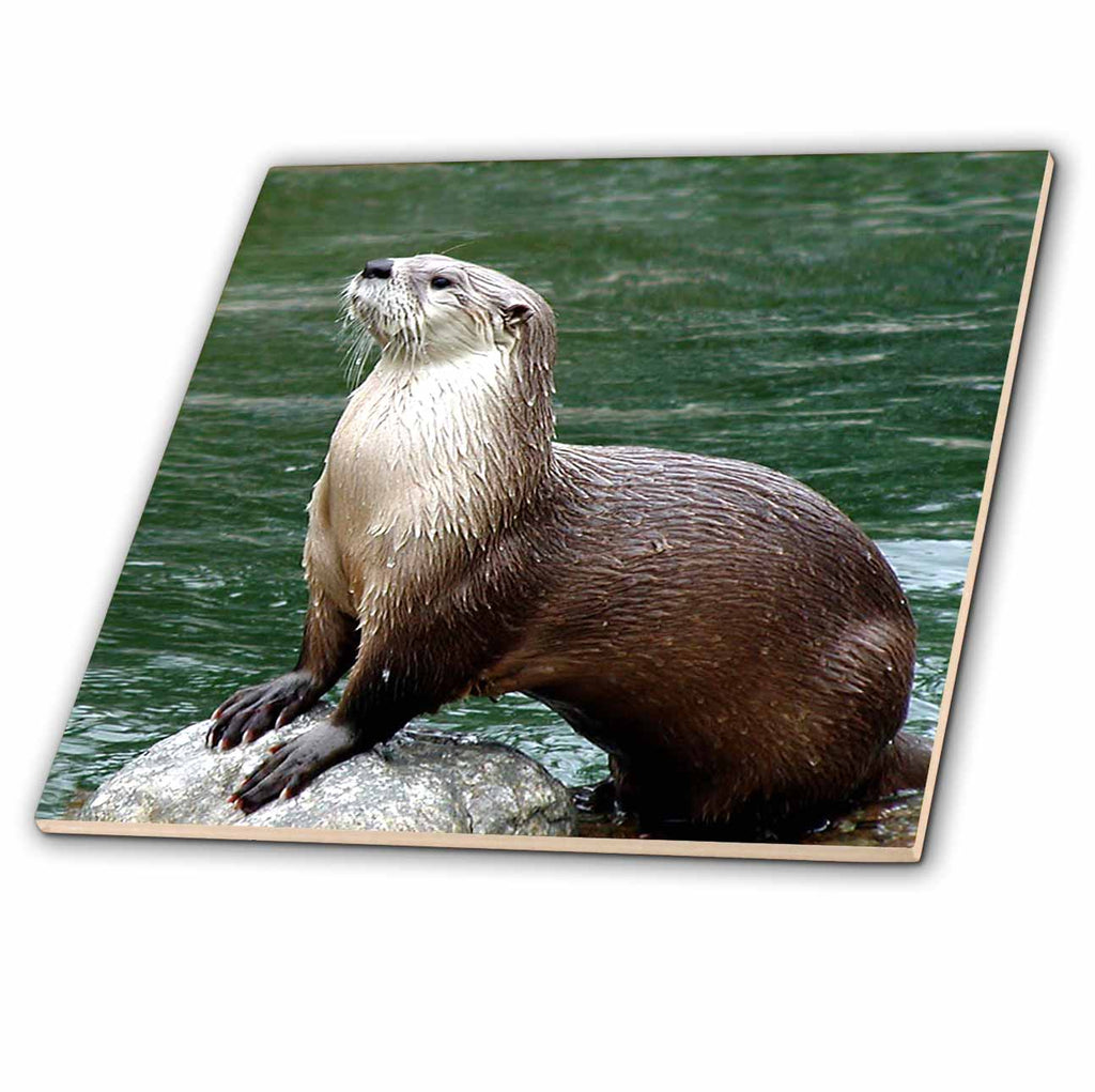 3dRose Wild Animals - Otter - Tiles (ct_4659)