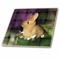 3dRose Rabbits - Rabbit - Tiles (ct_4818)