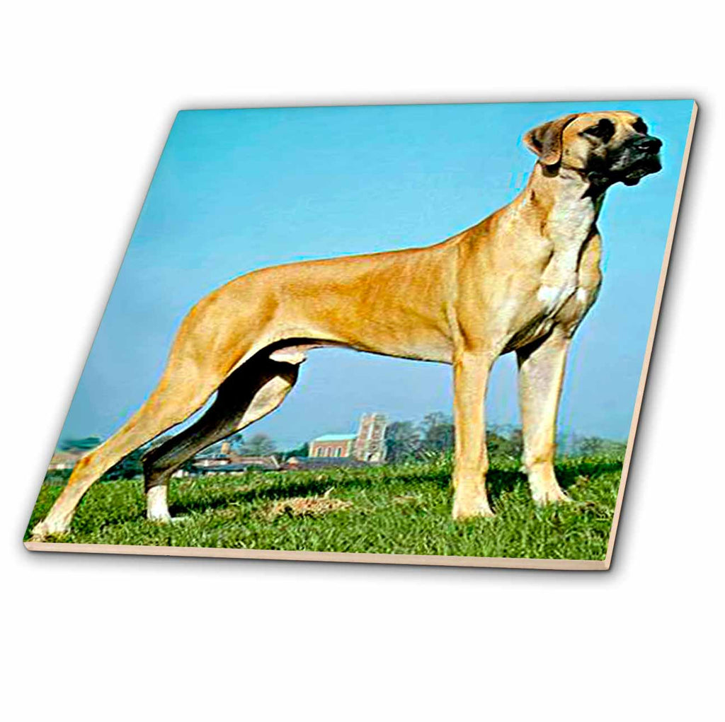 3dRose Dogs Great Dane - Great Dane - Tiles