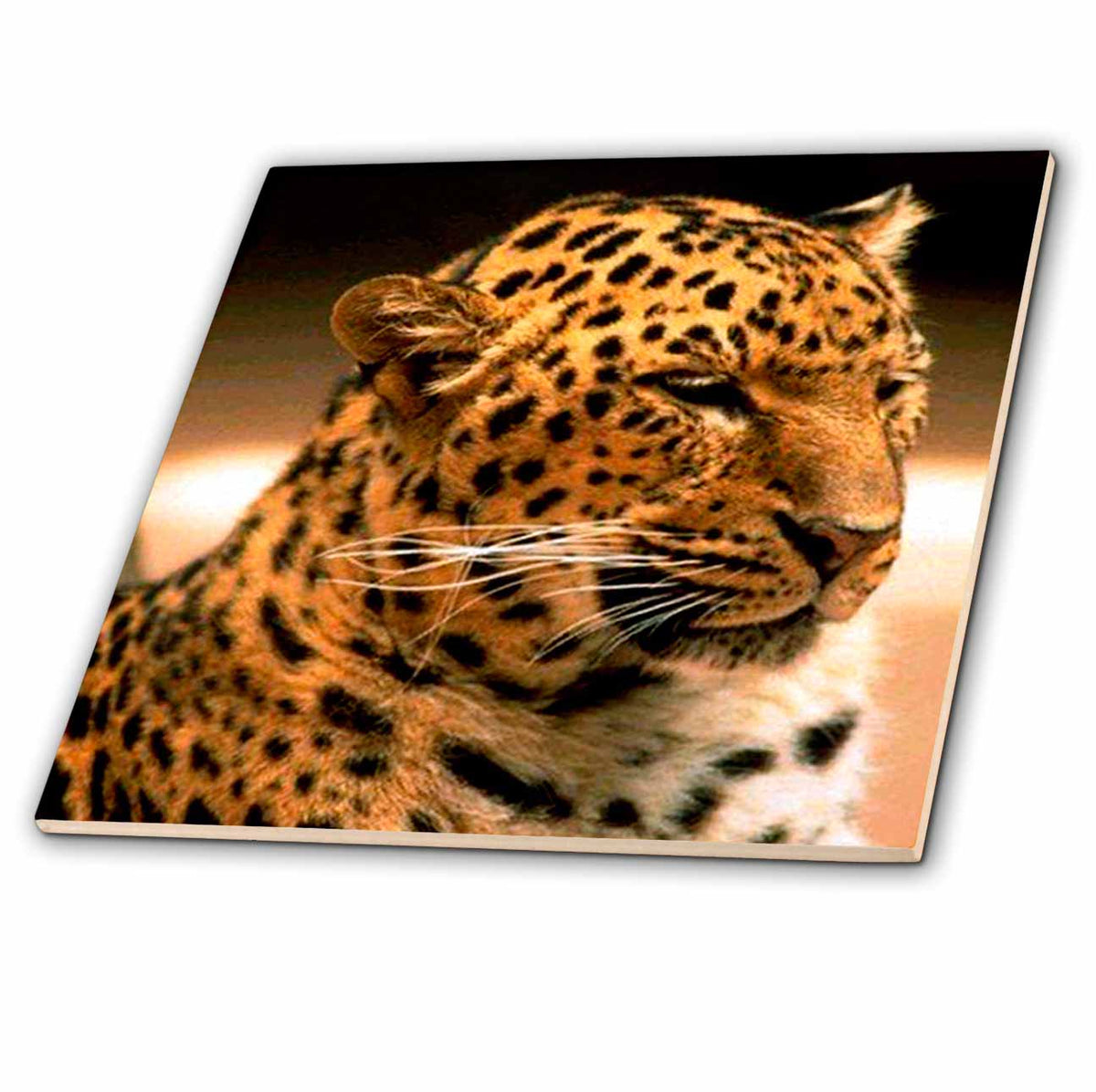 3dRose Wild Animals - Leopard - Tiles (ct_511)