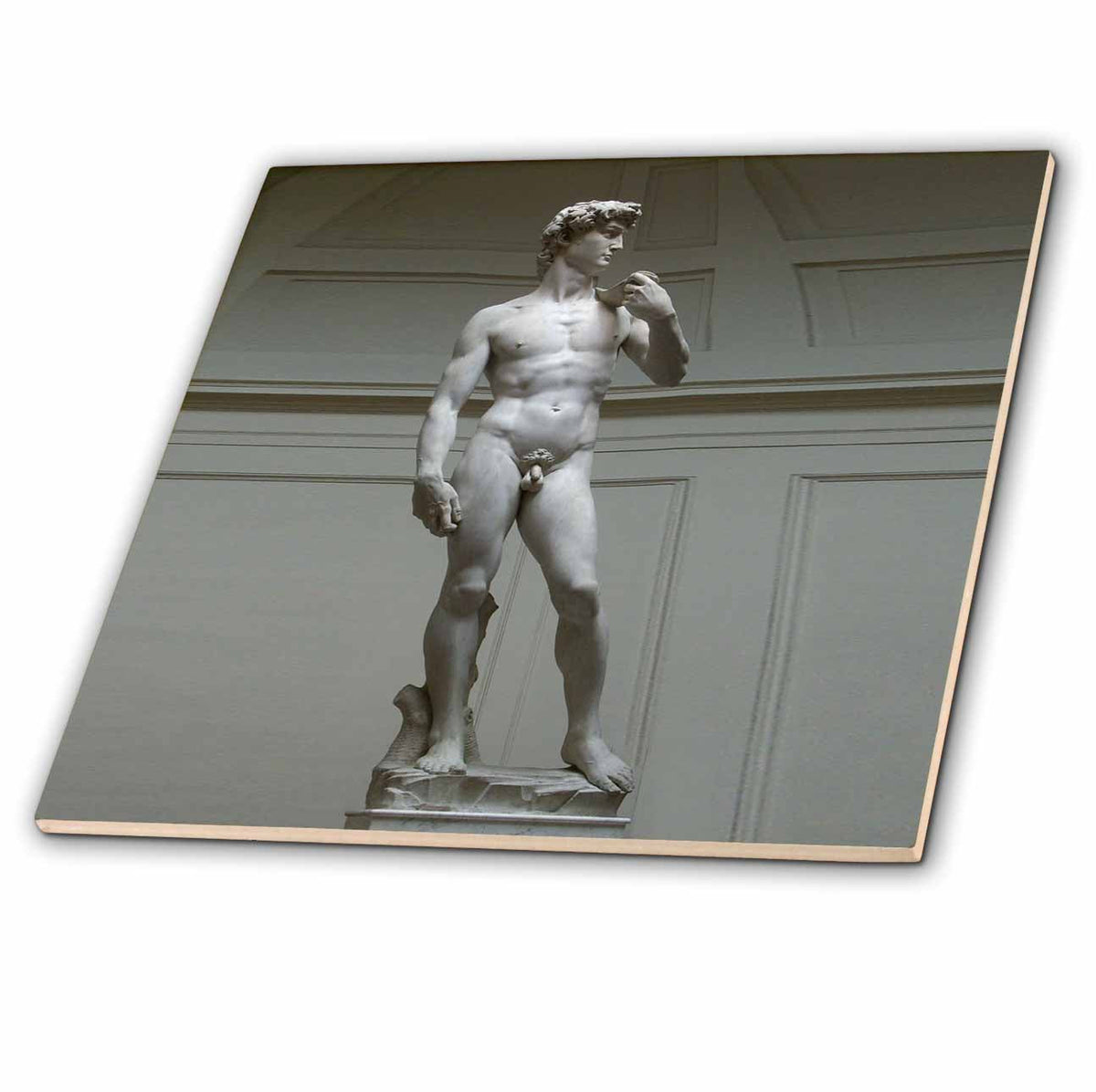 3dRose Art - Michaelangelos David Statue - Tiles (ct_602)