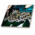 3dRose Snakes - Burmese Python - Tiles (ct_612)