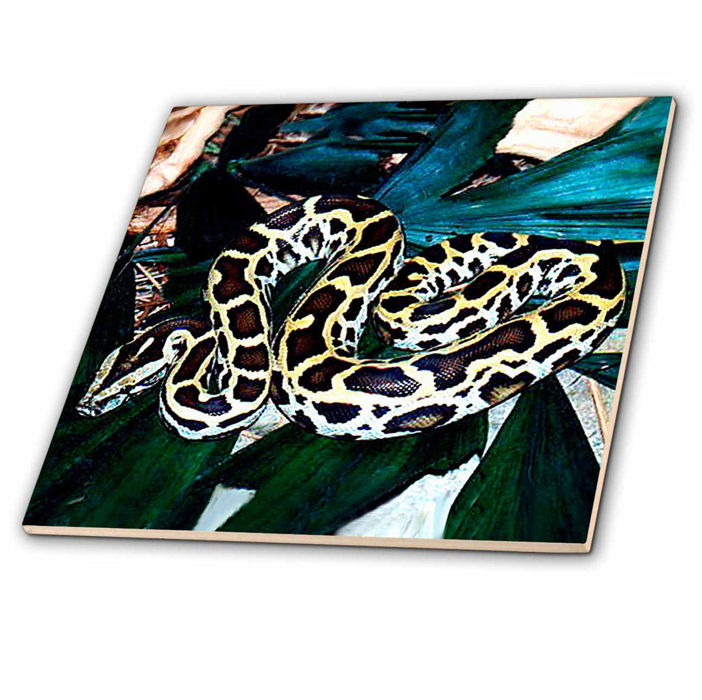 3dRose Snakes - Burmese Python - Tiles (ct_612)