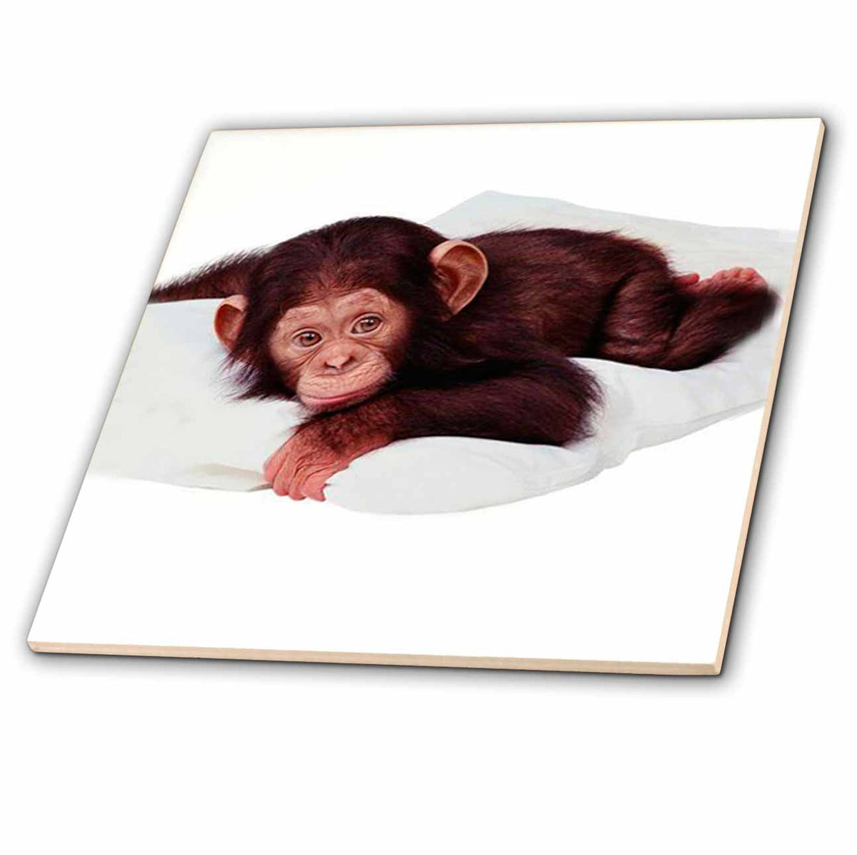 3dRose Monkey - Cute Chimpanzee - Tiles (ct_628)