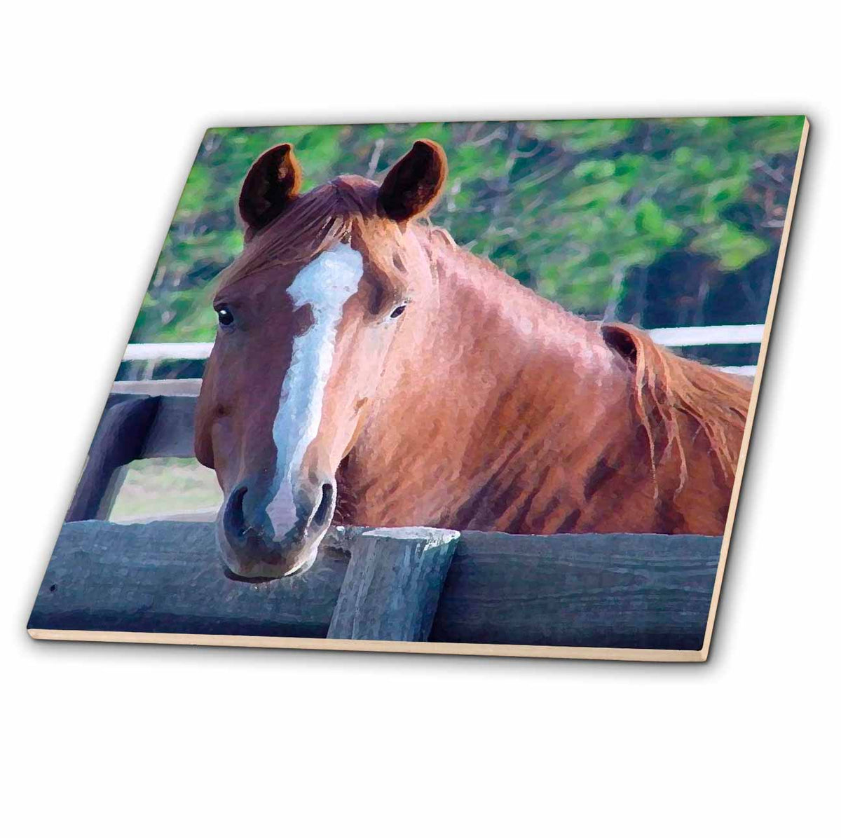 3dRose Horse - Quarter Horse Mare - Tiles (ct_674)