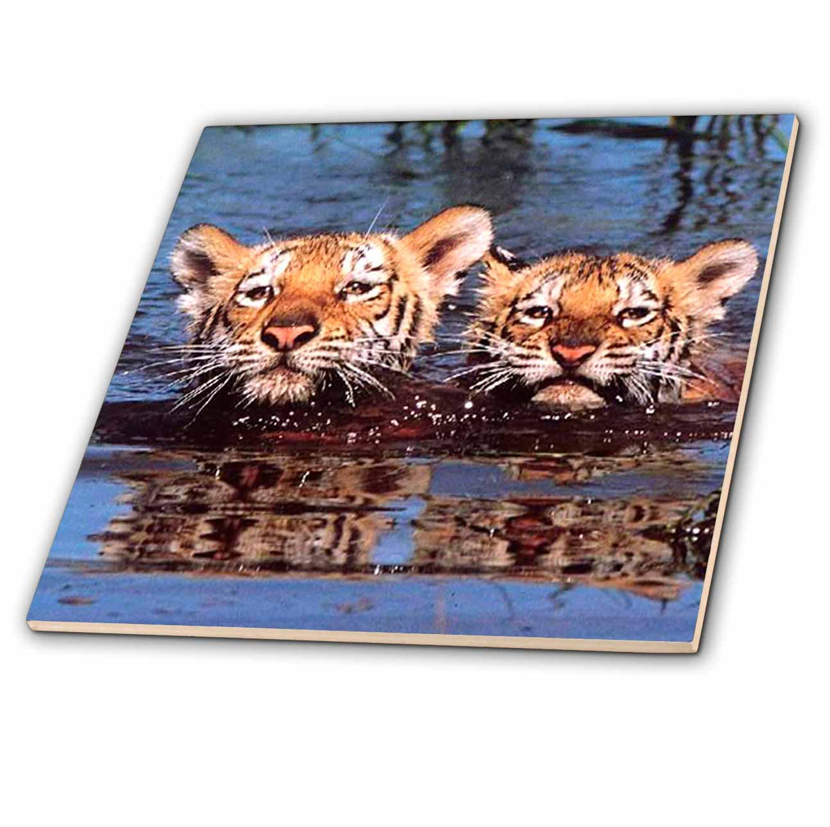 3dRose Wild Animals - Tiger Cubs - Tiles (ct_687)