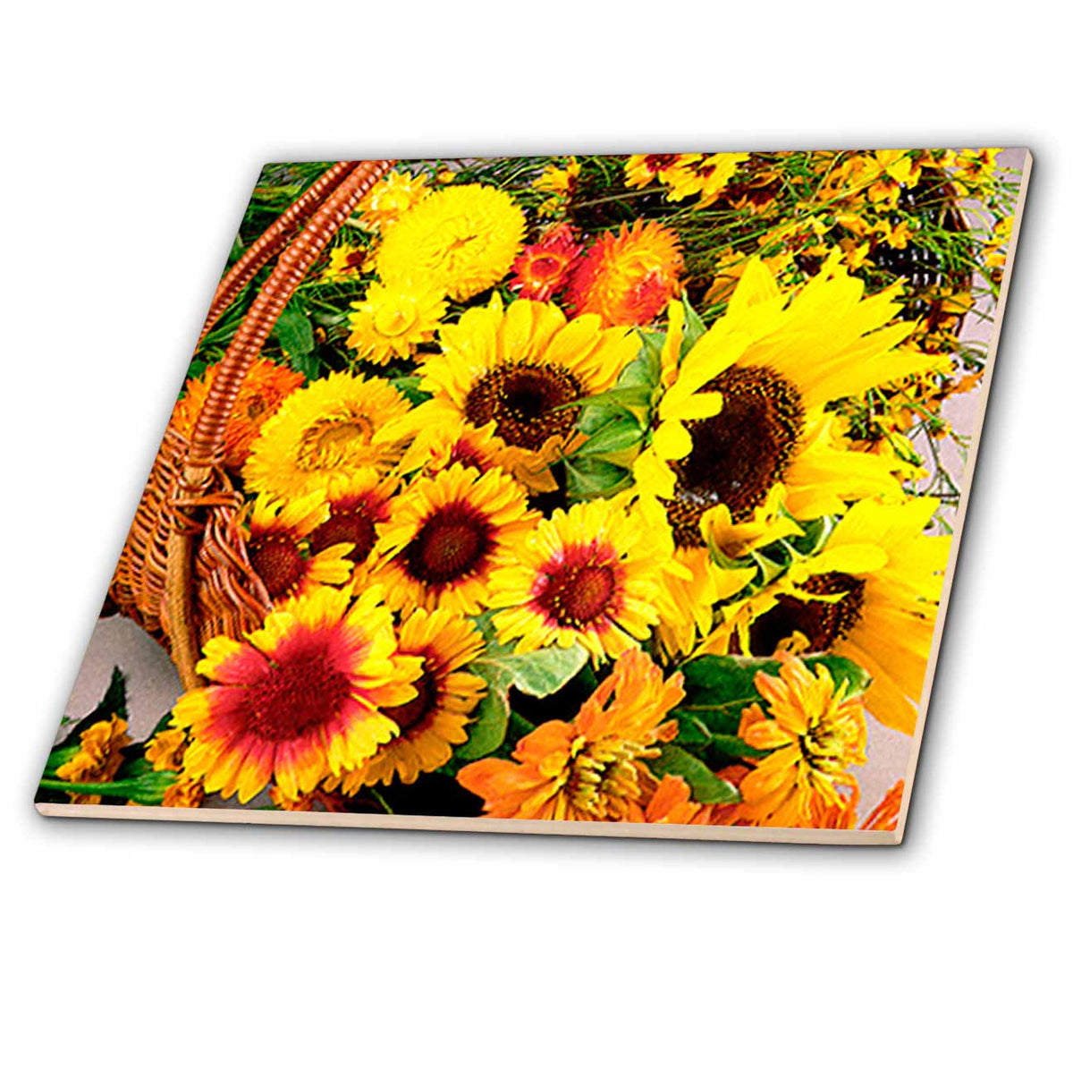 3dRose Flowers - Sun Flower Flowers - Tiles (ct_718)