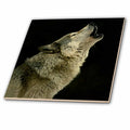 3dRose Wild Animals - Timber Wolf - Tiles (ct_724)