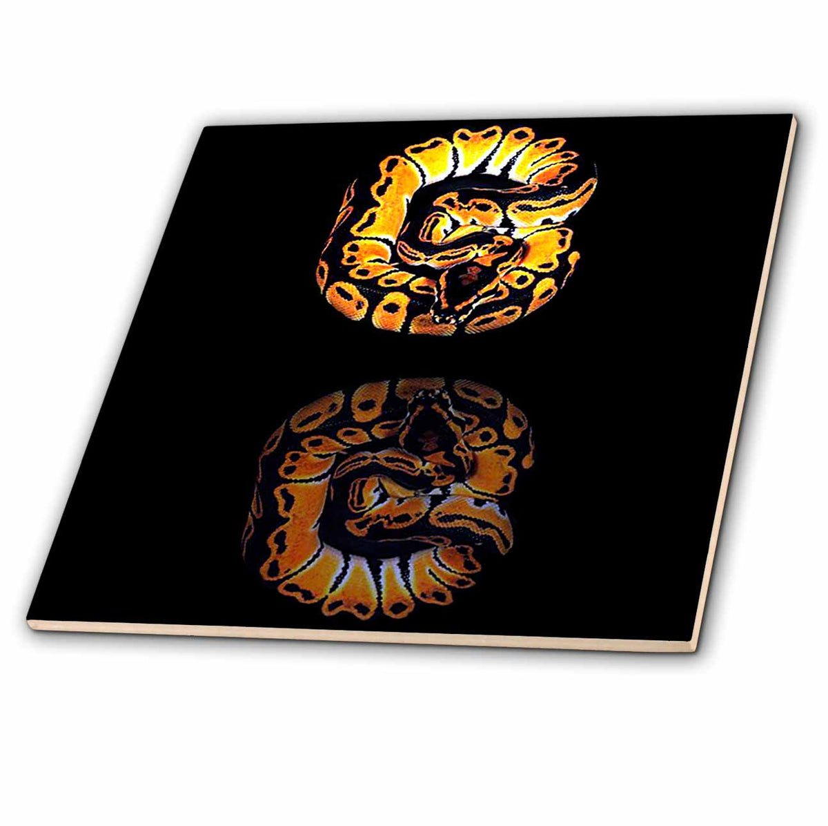 3dRose Snakes - Ball Python - Tiles (ct_887)