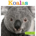 Seedlings: Koalas - Paperback