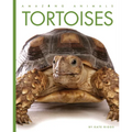 Tortoises - Paperback
