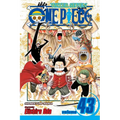 One Piece, Vol. 43: Legend of a Hero - Paperback