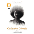 Castles from Cobwebs - Paperback