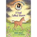 Jasmine Green Rescues: A Foal Called Storm - Paperback