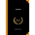 Anatomy - Paperback