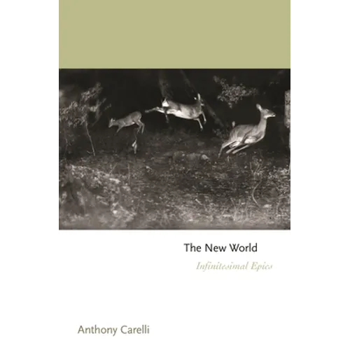 The New World: Infinitesimal Epics - Paperback