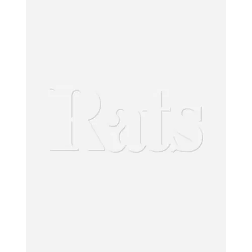 Janiva Ellis: Rats - Paperback