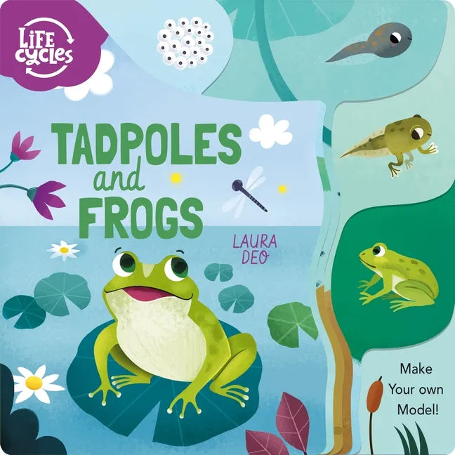 Life Cycles: Tadpoles and Frogs: Make Your Own Model! - Board Book