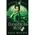 A Dangerous Ruse - Paperback