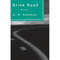 Brink Road: Poems - Paperback