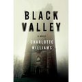 Black Valley - Paperback